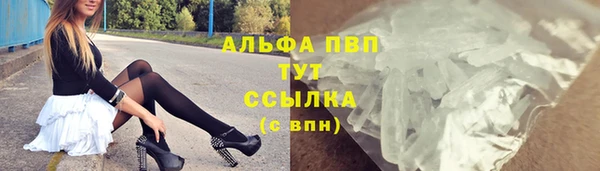 стаф Горняк