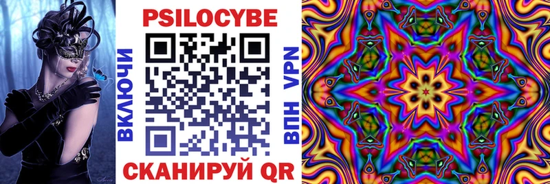 blacksprut ссылки  Обнинск  Псилоцибиновые грибы Psilocybe 