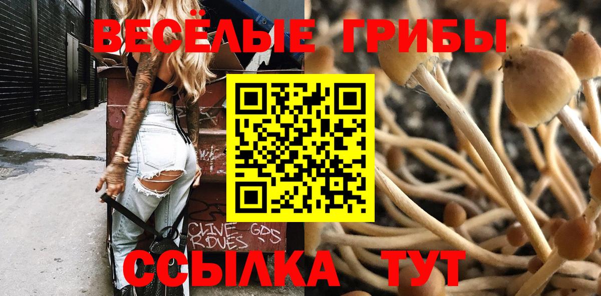 Обнинск  Псилоцибиновые грибы мухоморы  наркота  Вход с VPN 